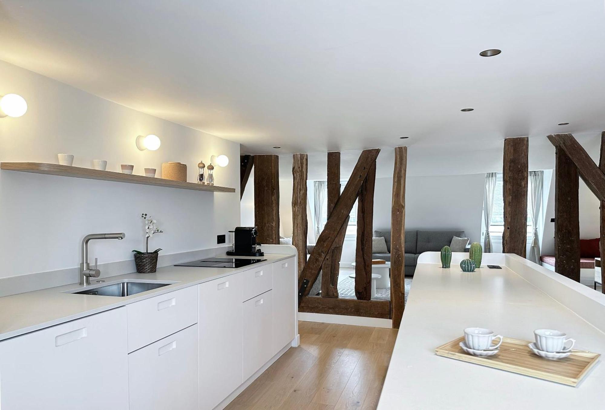 Spacious & Luxurious Parijs