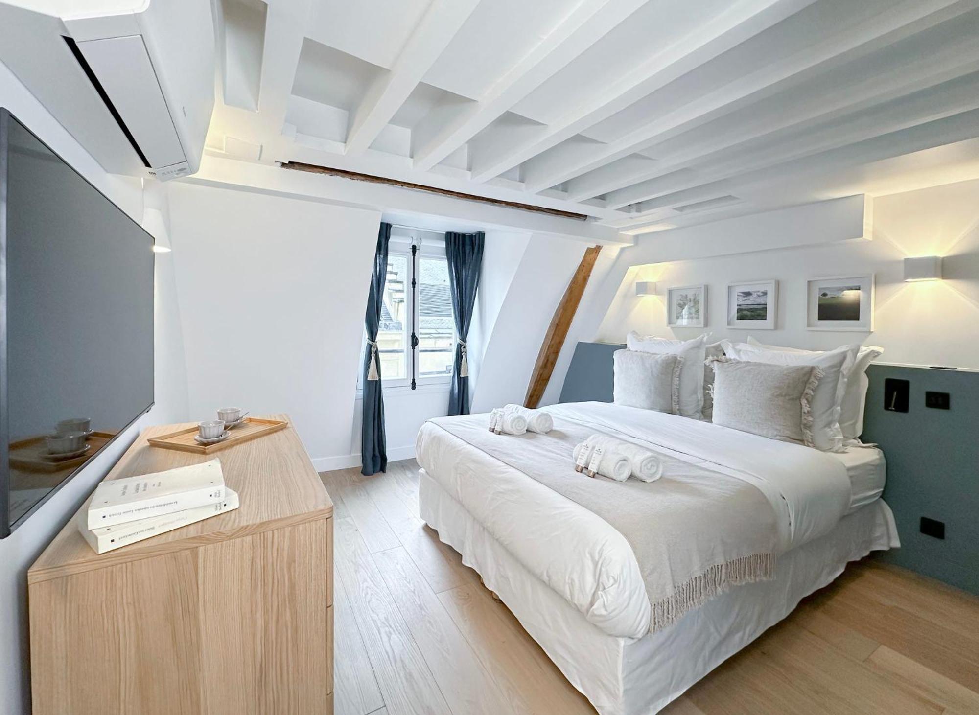 Spacious & Luxurious Parijs